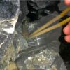 水槽内の水流と小型ナマズ アカザ の行動 その１ 秋屋